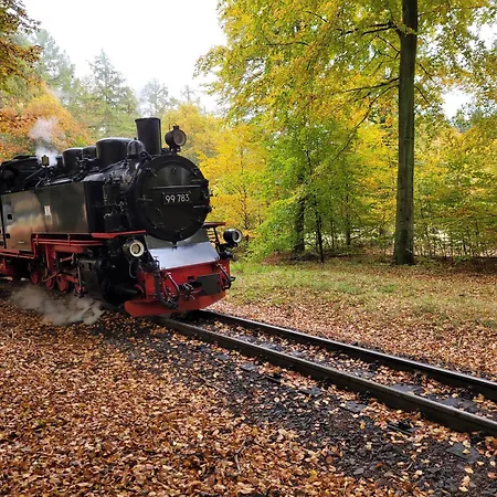 Sonneninsel Wiek Mit Eigener Sauna Und Fahrradgarage Inkl Waeschepaket Wiek auf Rügen