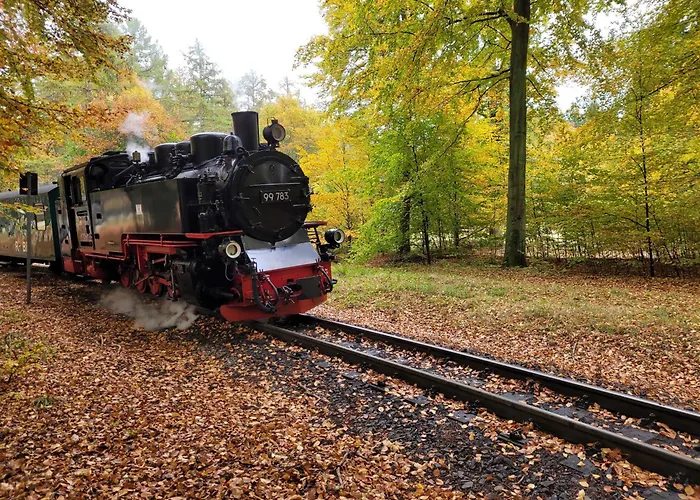 Sonneninsel Wiek Mit Eigener Sauna Und Fahrradgarage Wiek auf Rügen