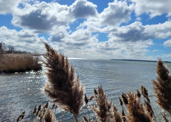Sonneninsel Wiek Mit Eigener Sauna Und Fahrradgarage * Wiek auf Rügen