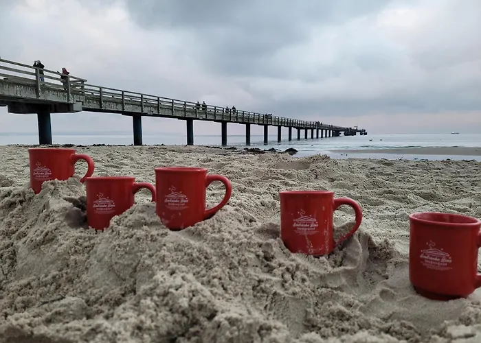 Apartman Sonneninsel Wiek Mit Eigener Sauna Und Fahrradgarage